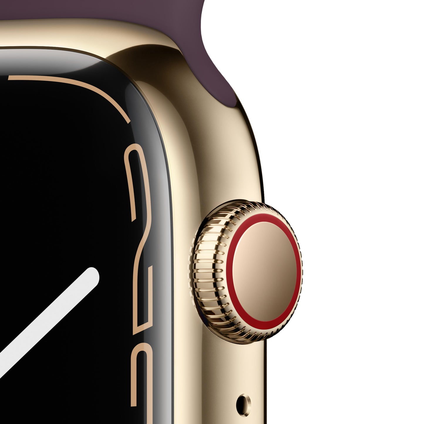 Apple Watch Series 7 GPS + Cellular, 45mm Gold Stainless Steel Case with Dark Cherry Sport Band - Regular