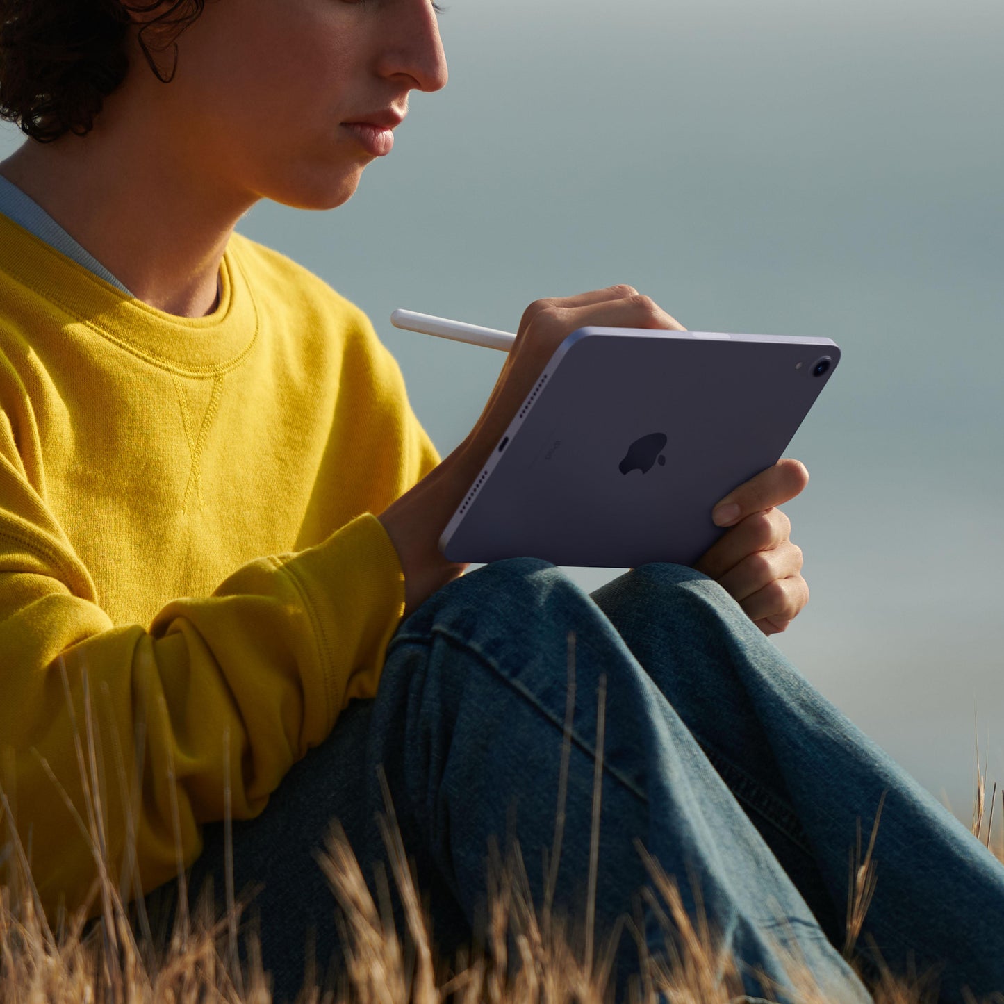 2021 iPad mini Wi-Fi 256GB - Purple (6th generation)